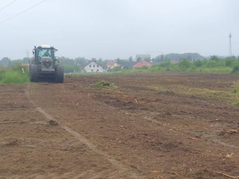 mulczowanie terenu